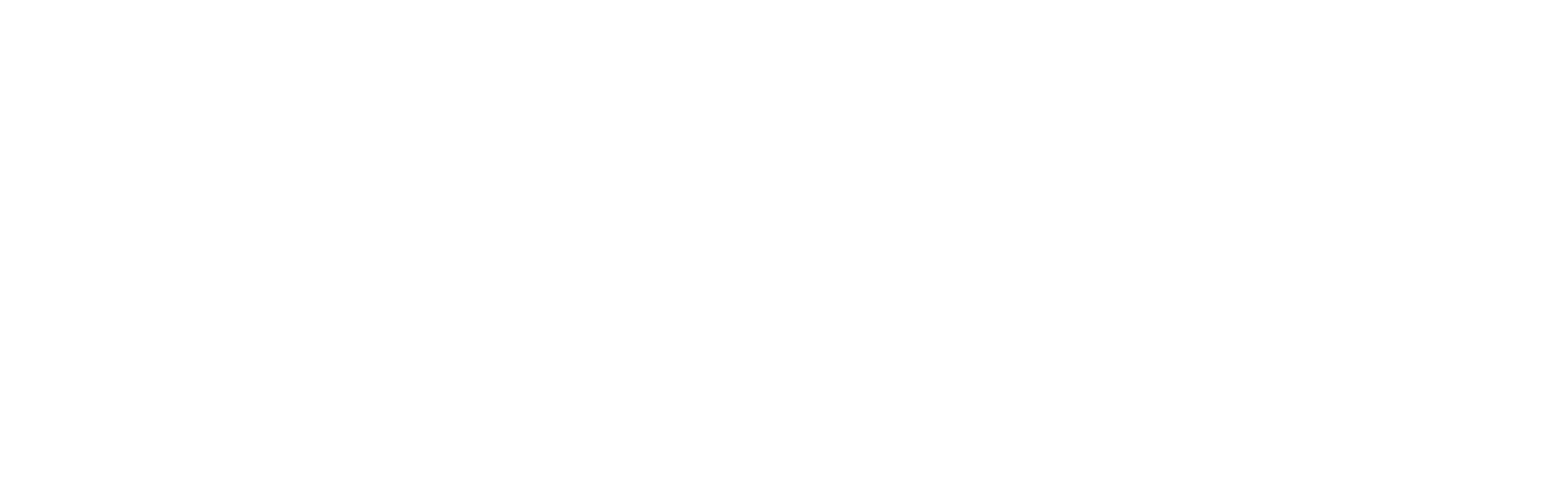 logo lokite